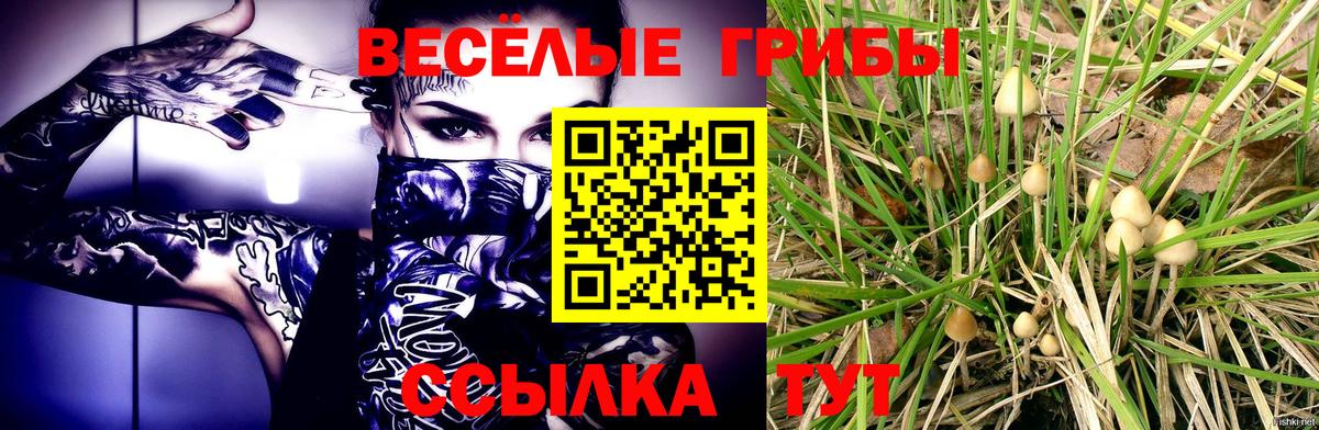 Якутск  Галлюциногенные грибы GOLDEN TEACHER  Вход с VPN  Псилоцибиновые грибы мицелий 