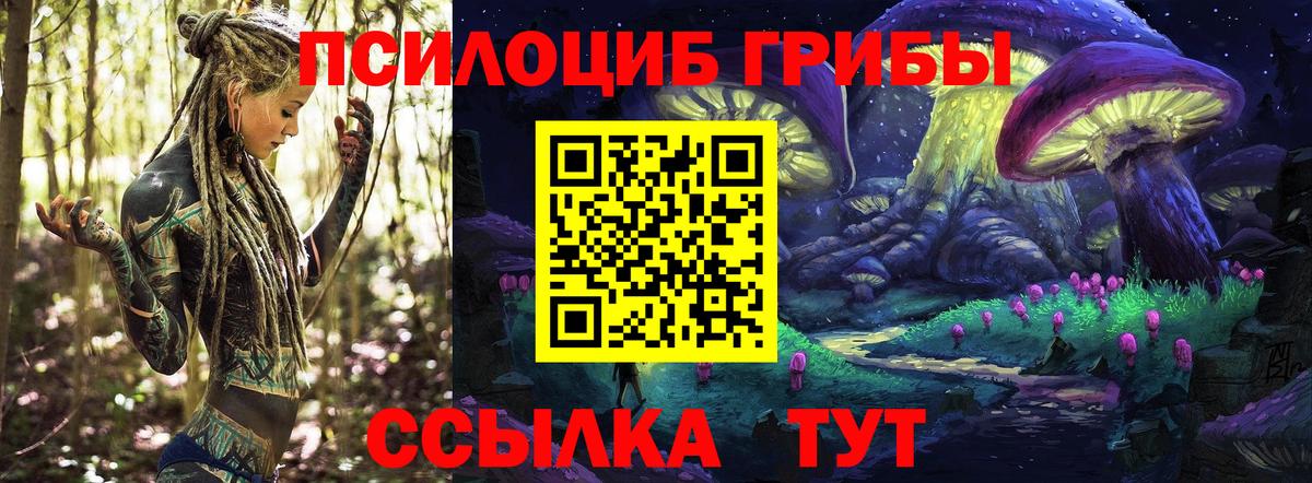 Псилоцибиновые грибы GOLDEN TEACHER Якутск